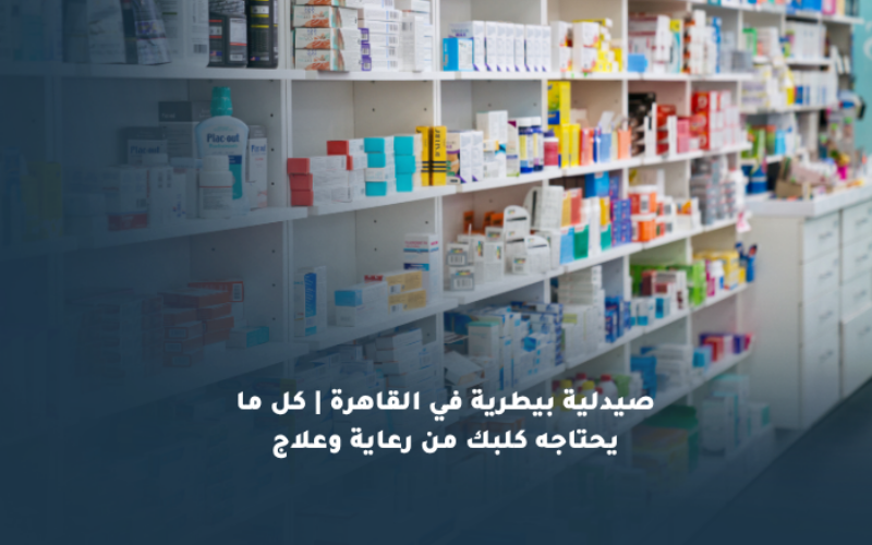 صيدلية بيطرية في القاهرة | كل ما يحتاجه كلبك من رعاية وعلاج